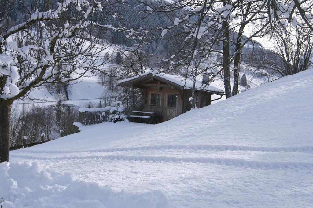 Vordergugg Villa Mittersill Buitenkant foto