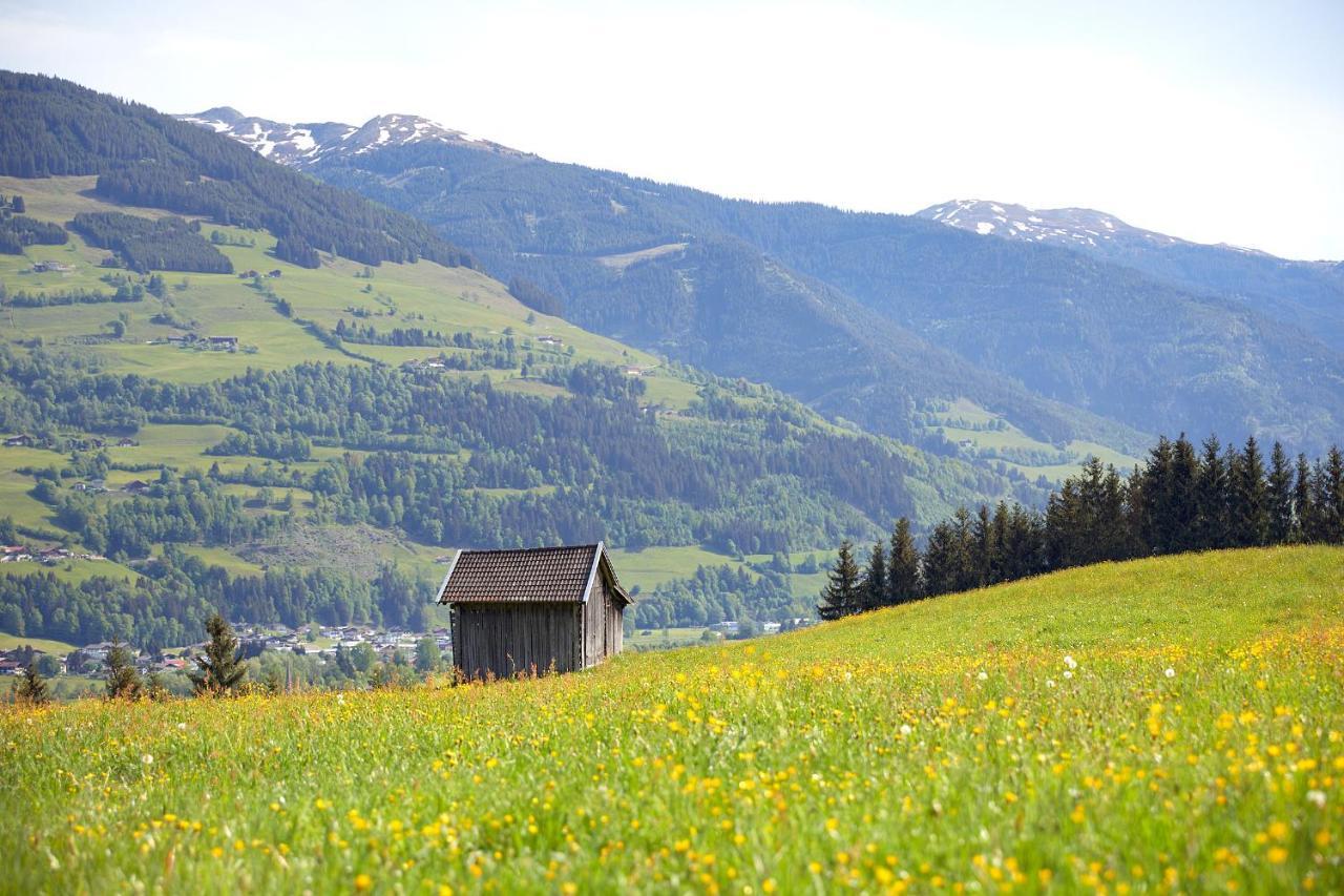 Vordergugg Villa Mittersill Buitenkant foto